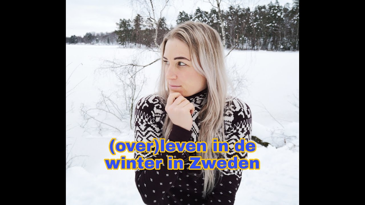 Emigreren naar Zweden vlog 7, 2021 - Winter: ingesneeuwd. We kunnen niet weg! - Linda Meijers