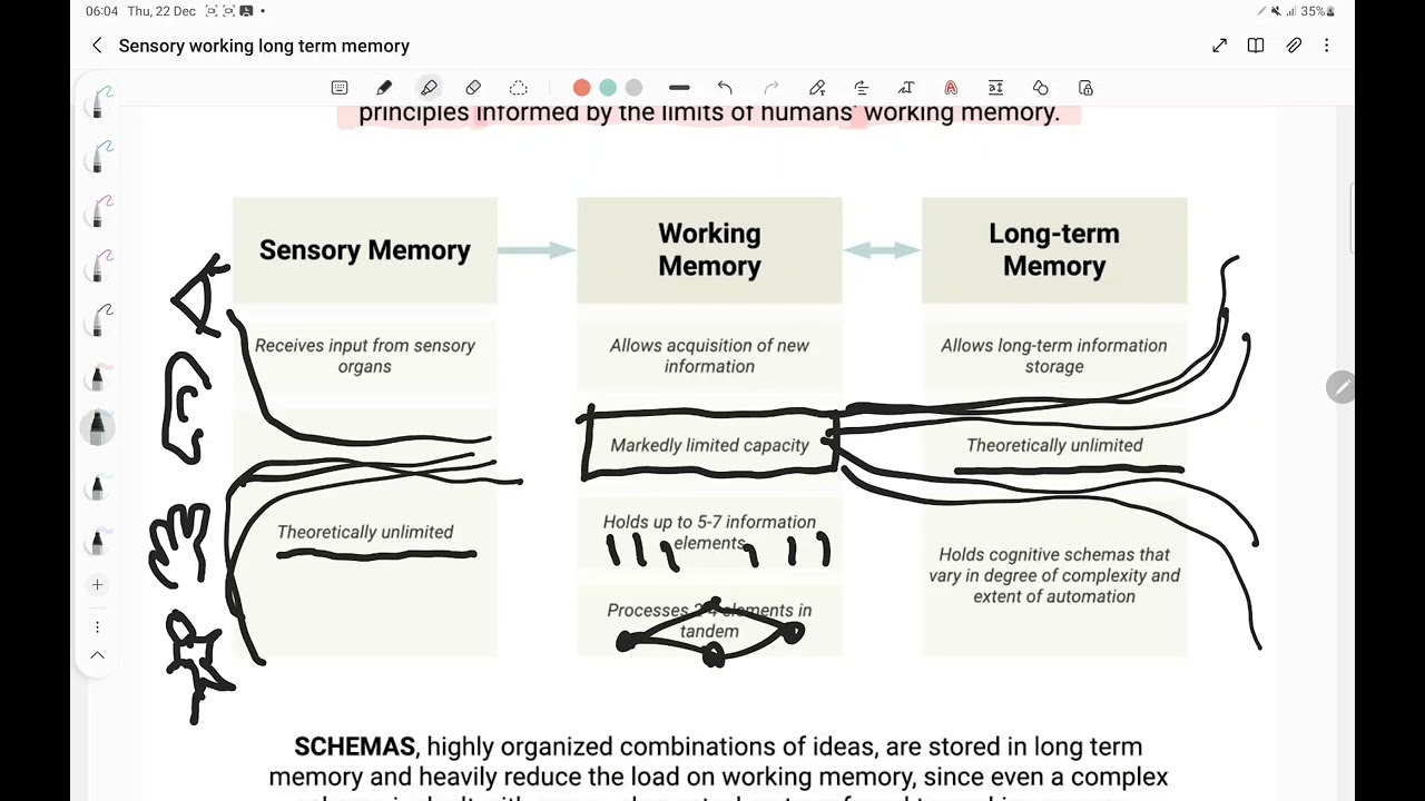 How Cognitive Load Theory works with Sensory Memory, Working Memory, and Long Term Memory