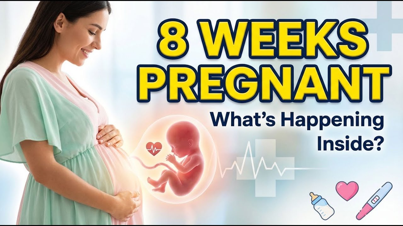 What Happens Inside Your Body When You're 8 Weeks Pregnant | Early Pregnancy Changes Explained