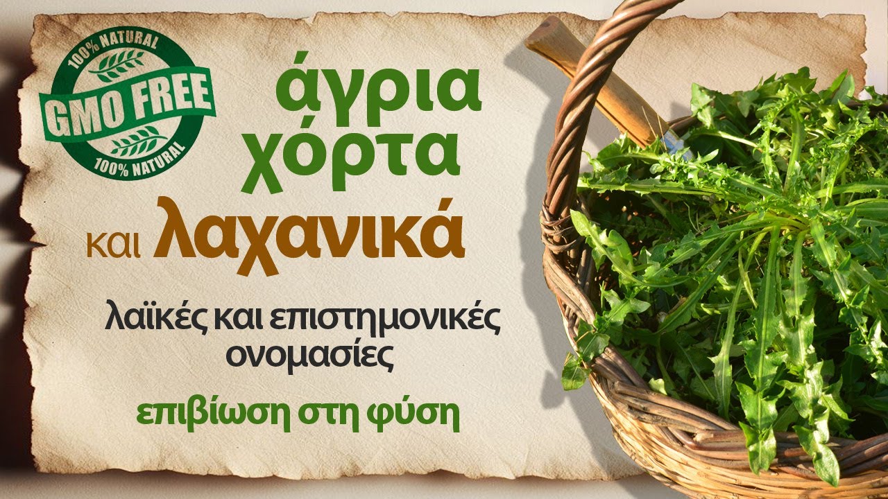 Άγρια Χόρτα και άλλα βρώσιμα λαχανικά. Από το δάσος στο πιάτο!