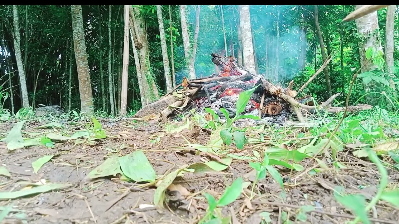 Suara kayu bakar n kicauan burung,meditasi dengan alam
