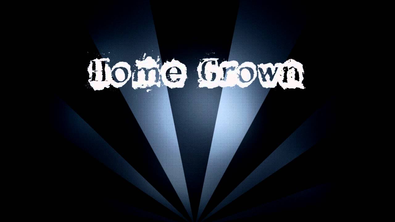 Home Grown - I'll Never Fall In Love (8 bit)