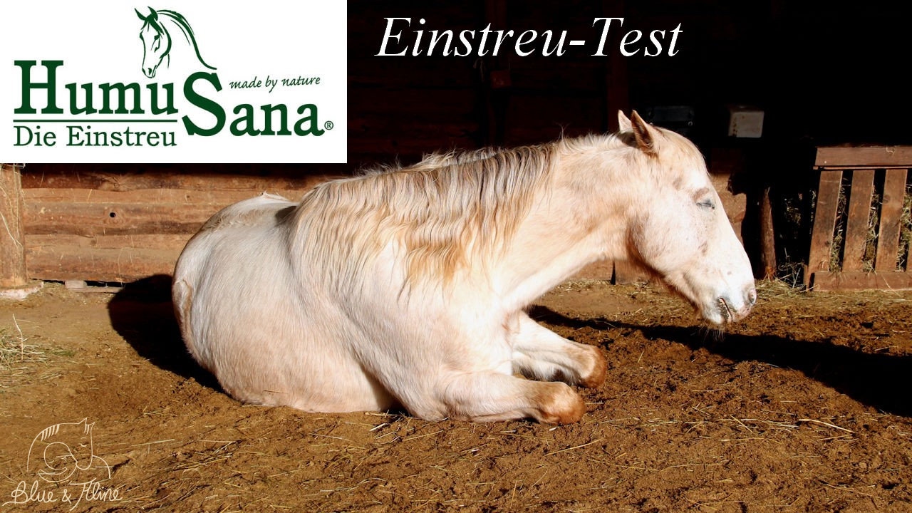 Einstreu-Test: HumuSana von PeerConcept