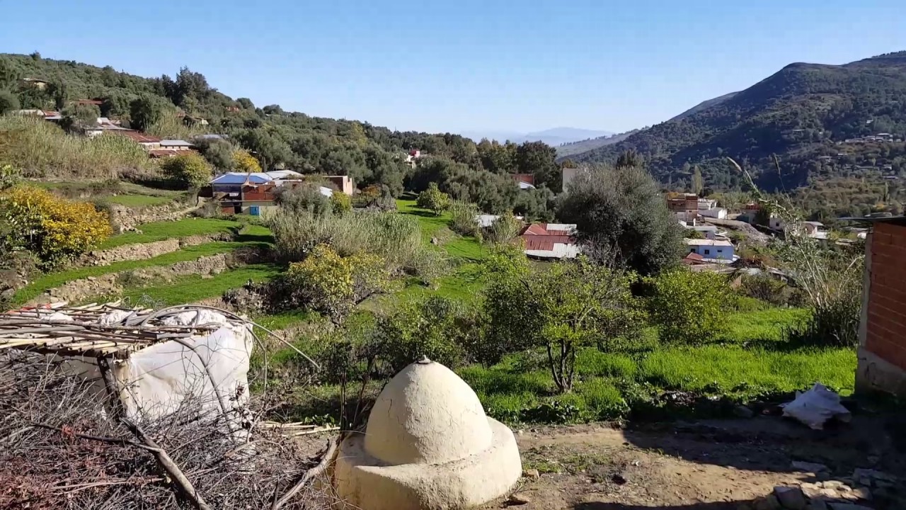 jbala zoumi