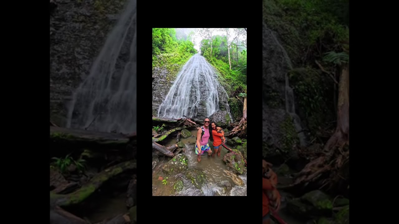 Manoa Falls Trail, Oahu, Hawaii