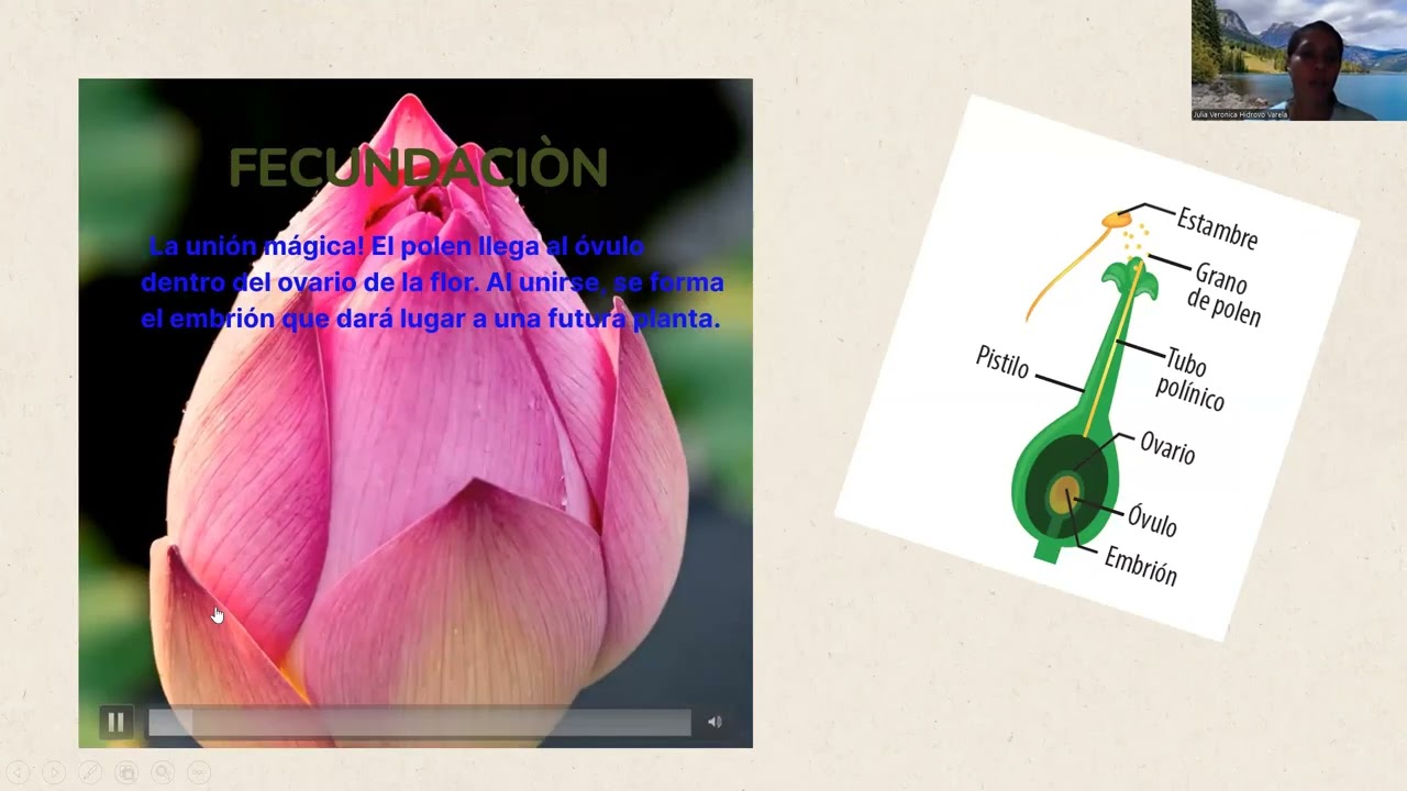 video1038537470