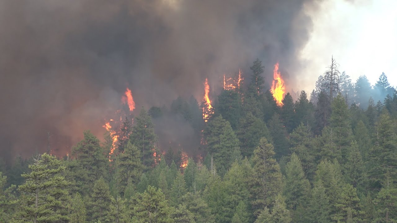 Marks Creek Fire explodes to 1,200 acres; Level 3 'Go Now' evacuation ordered