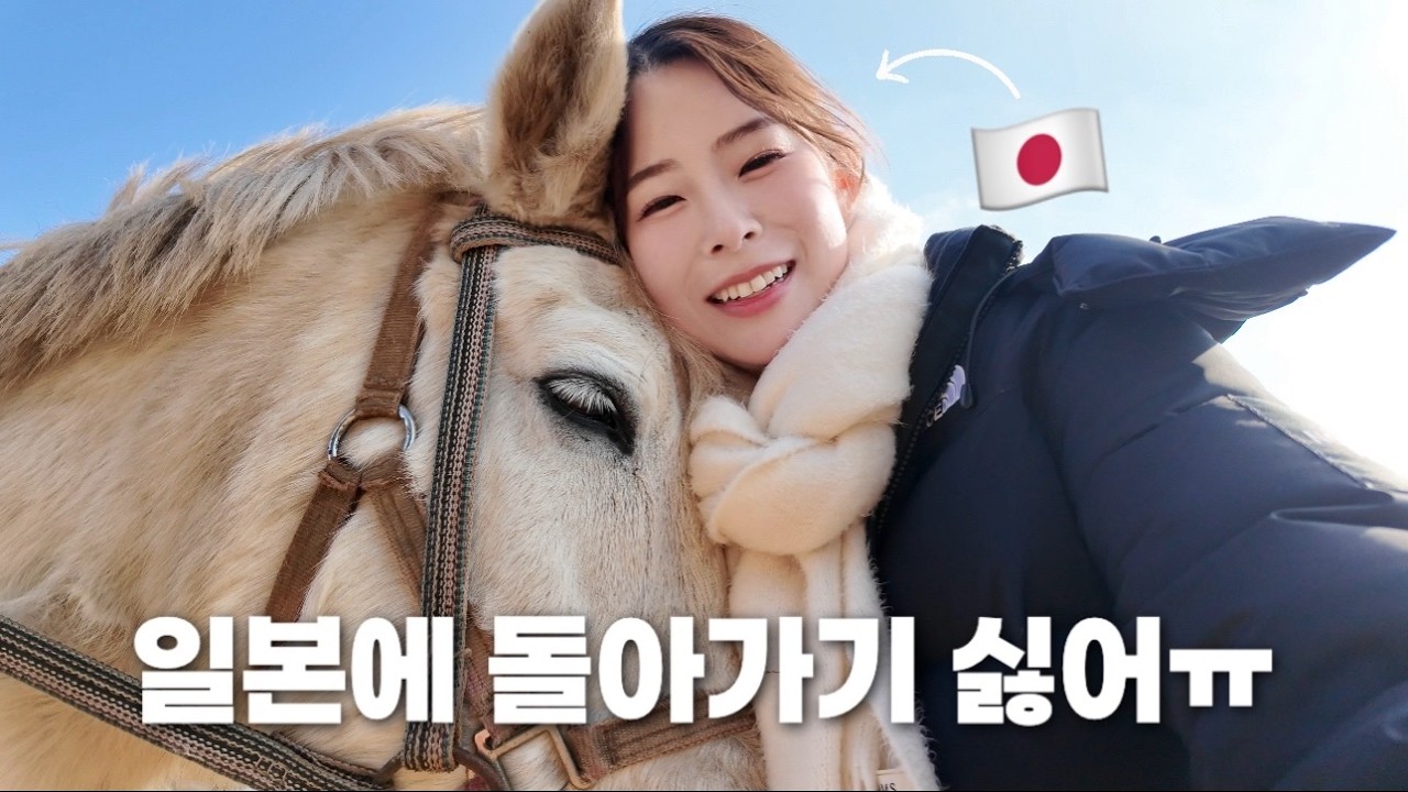 한국여행 마지막 날! 제주도 3일차 브이로그🍊済州島3日目Vlog🐴