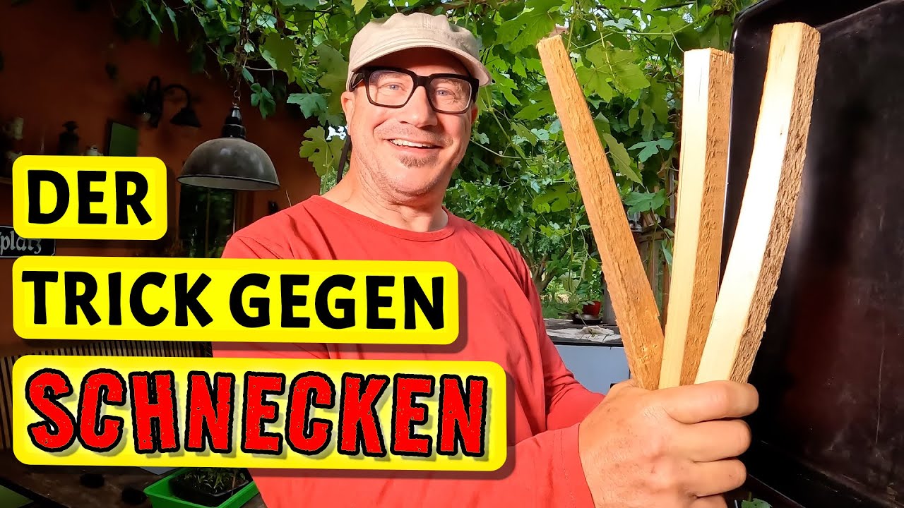 Mein neuer Trick gegen die Nacktschnecken