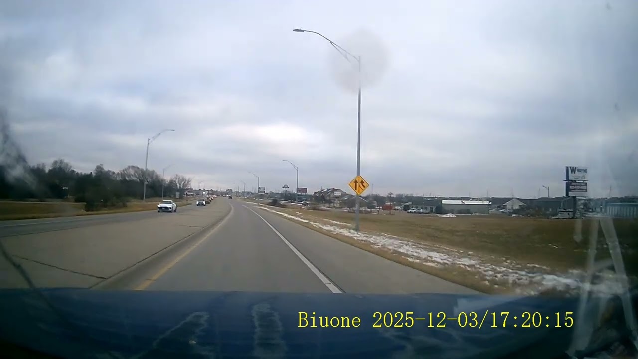 Cattle by the highway 
