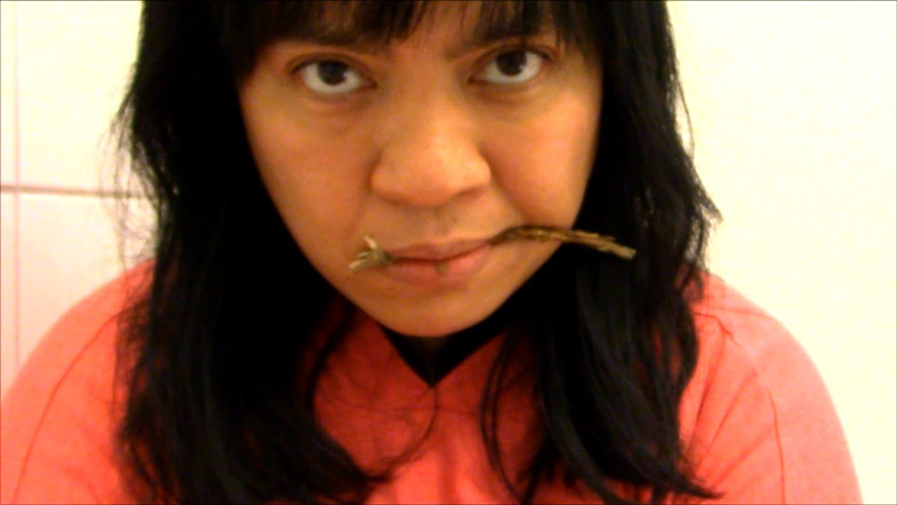 ASMR Biting Rosemary stick