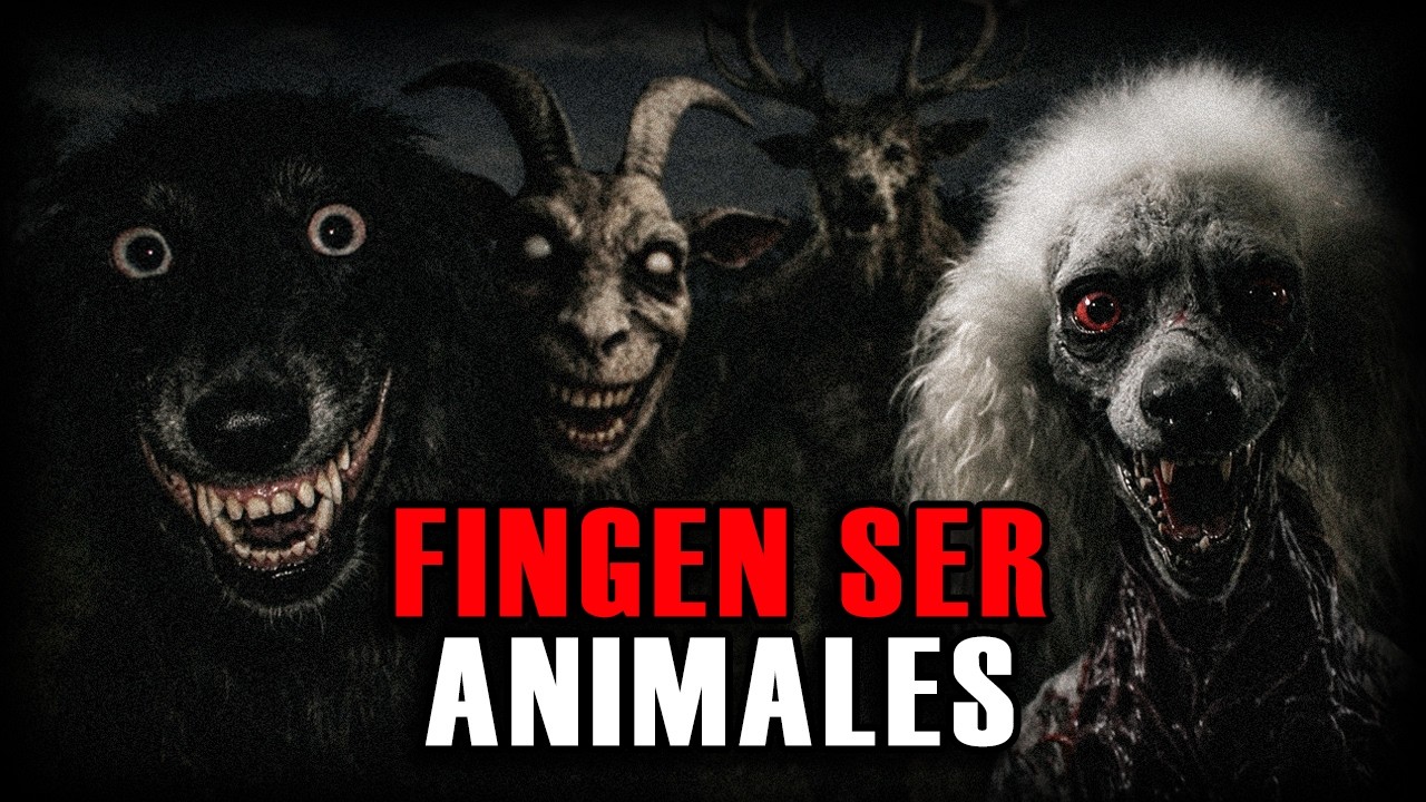 1 HORA DE RELATOS DE ANIMALES ACTUANDO COMO HUMANOS | NUEVA EDICI&Oacute;N 2026
