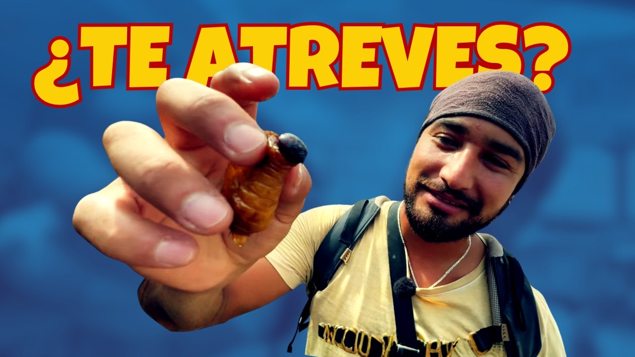 🐛 ESTO COMEN  en el AMAZONAS  😳 | Impulso Aventurero