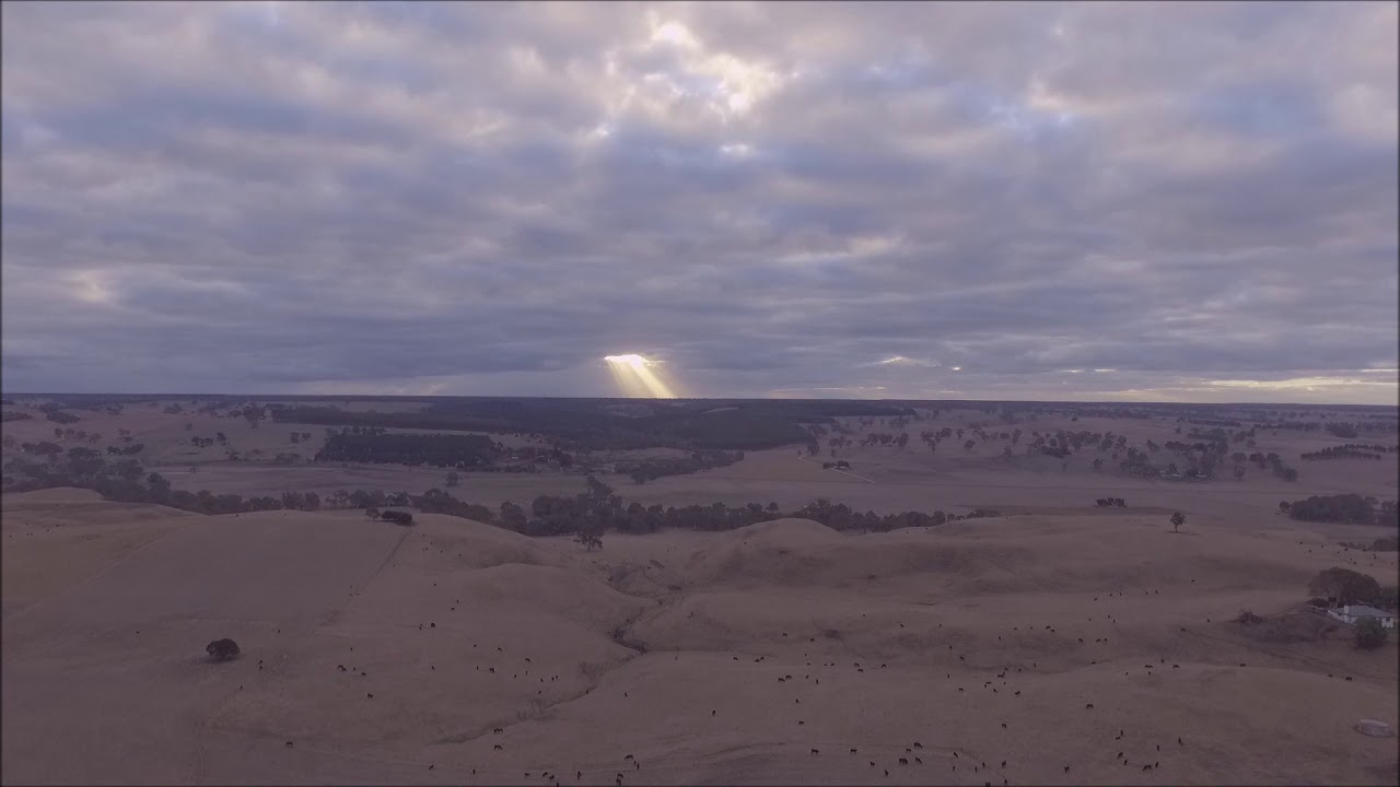 Farms Around Casterton Victoria Australia Video