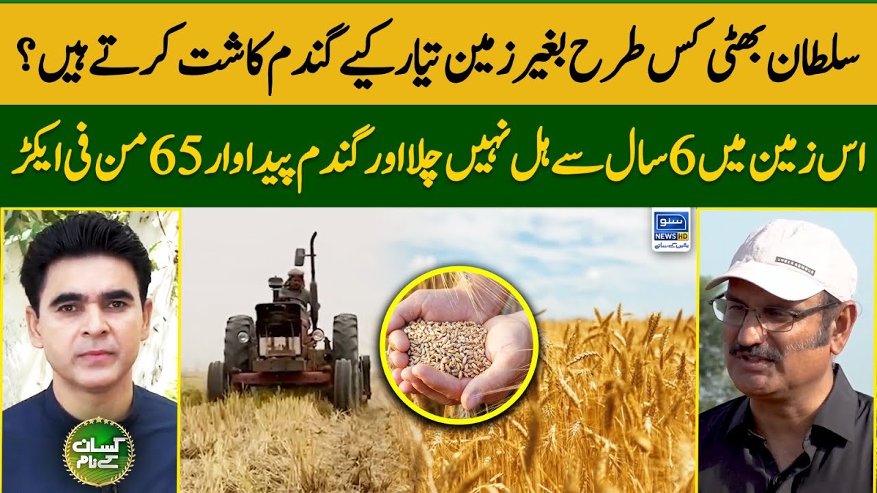 Wheat farming with zero tillage method | Kissan Kay Naam | EP 38 | Suno News Hd
