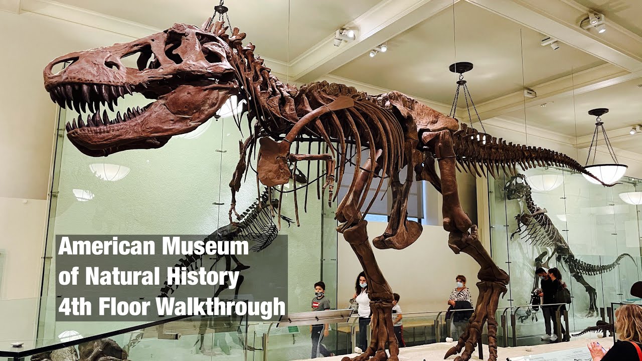 American Museum of Natural History - Walkthrough Part 4 / 4th Floor