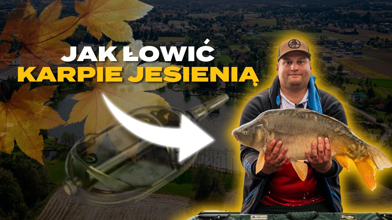 Jak łowić KARPIE JESIENIĄ na Method Feeder?