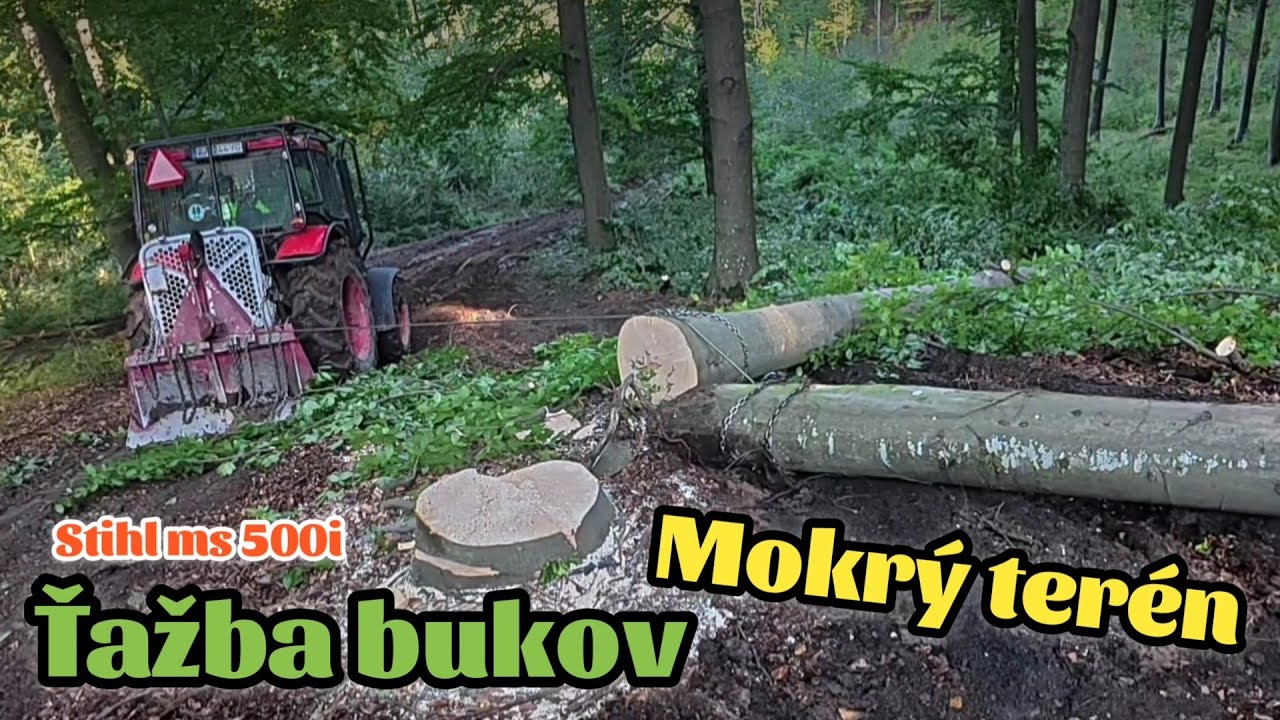 Лесозаготовка становится сложнее. После дождя местность становится мокрой и грязной. Stihl ms 500i,