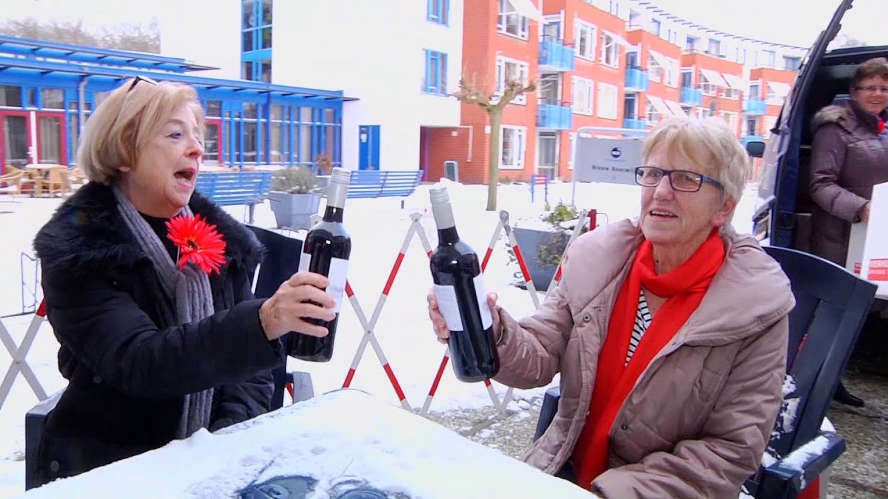 Lipdub 'Echte vrienden' van WZH De Sonneruyter