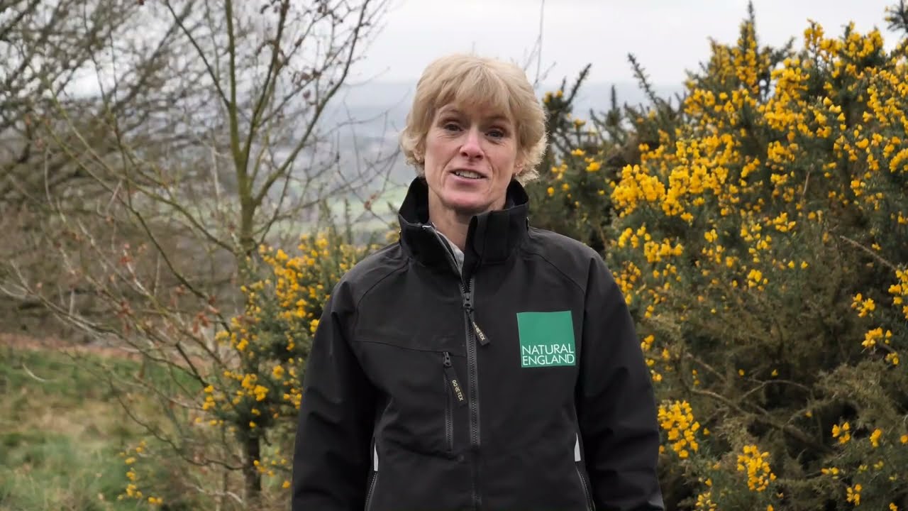 Nature recovery in the West Midlands: Purple Horizons