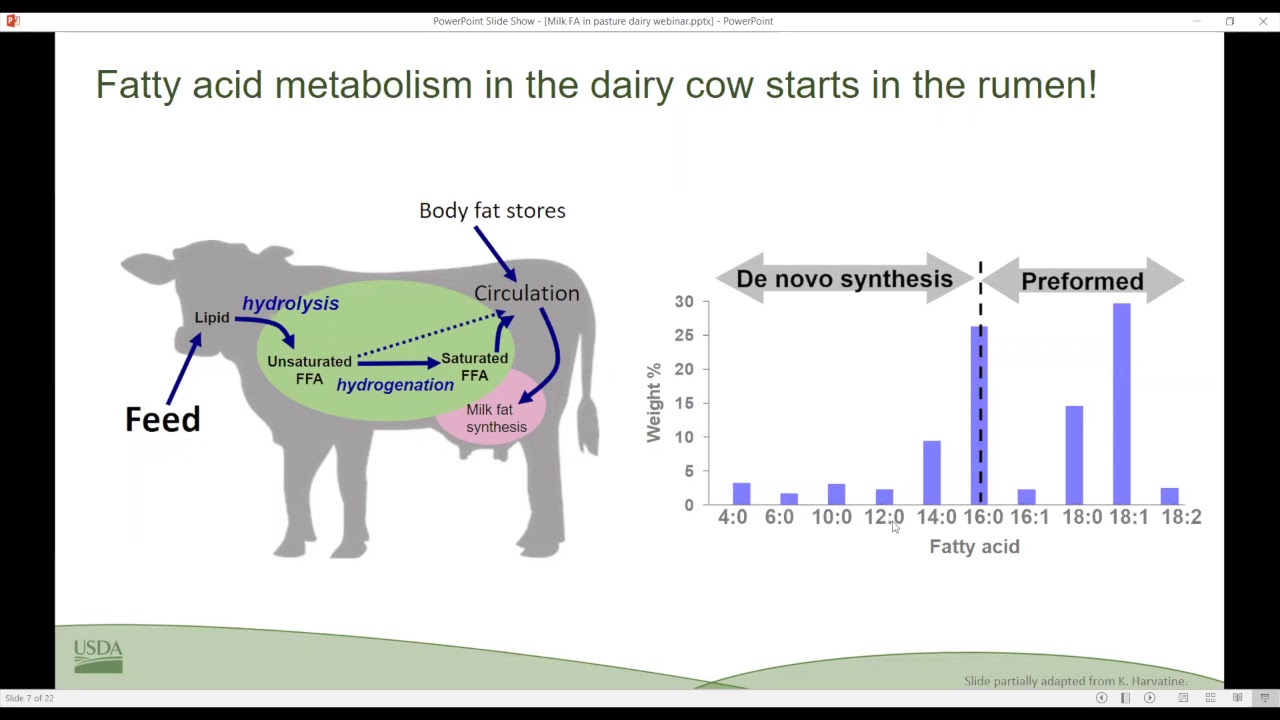 Milk Fatty Acids in Organic and Grassfed Dairy Production