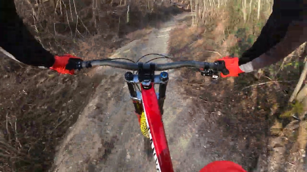 treia dh line