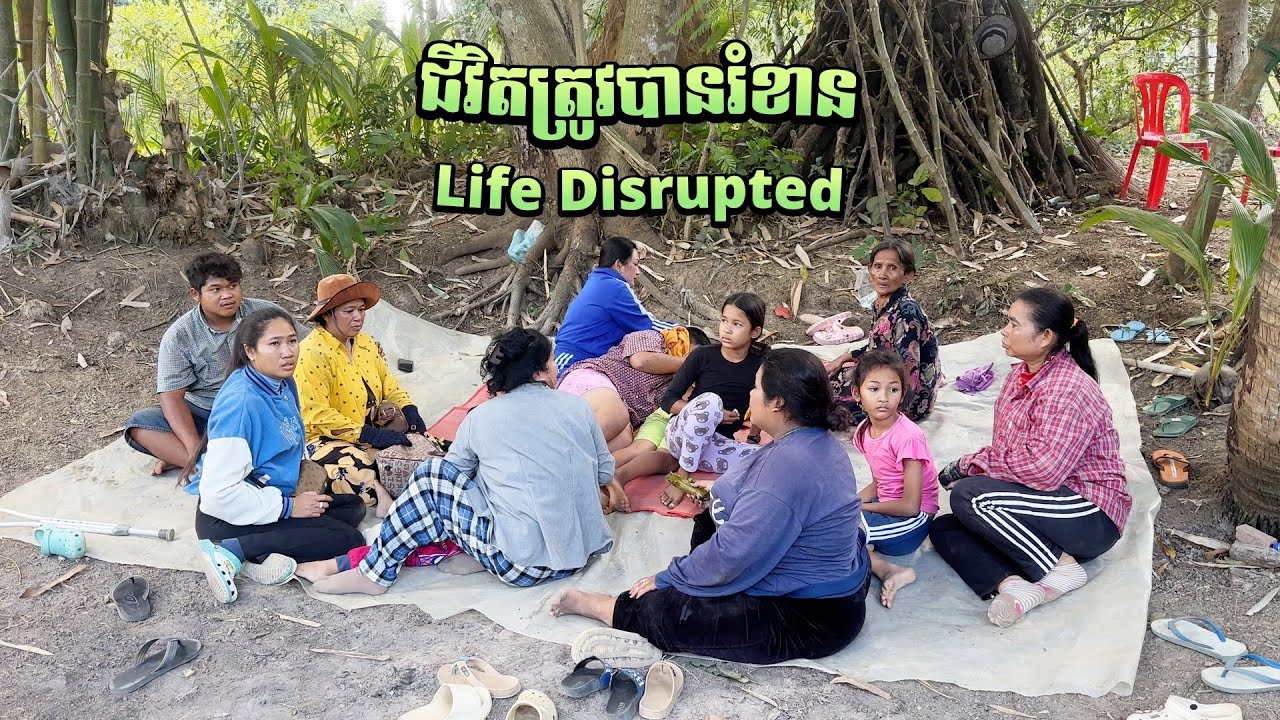 Life Disrupted