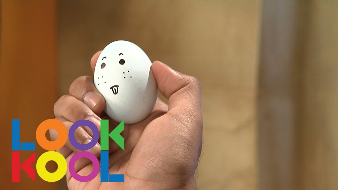 Domes | Full Episode | LOOK KOOL | Scholastic STEAM