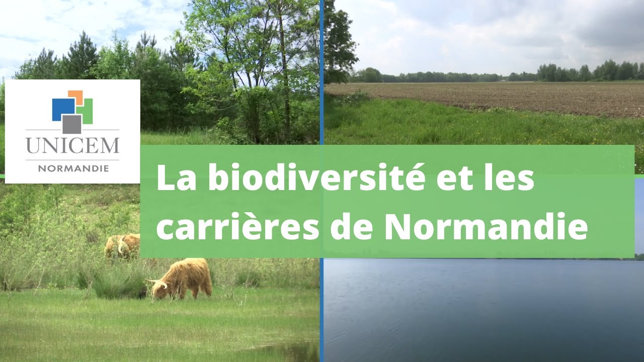 UNICEM Normandie : la biodiversité et le réaménagement des carrières de Normandie