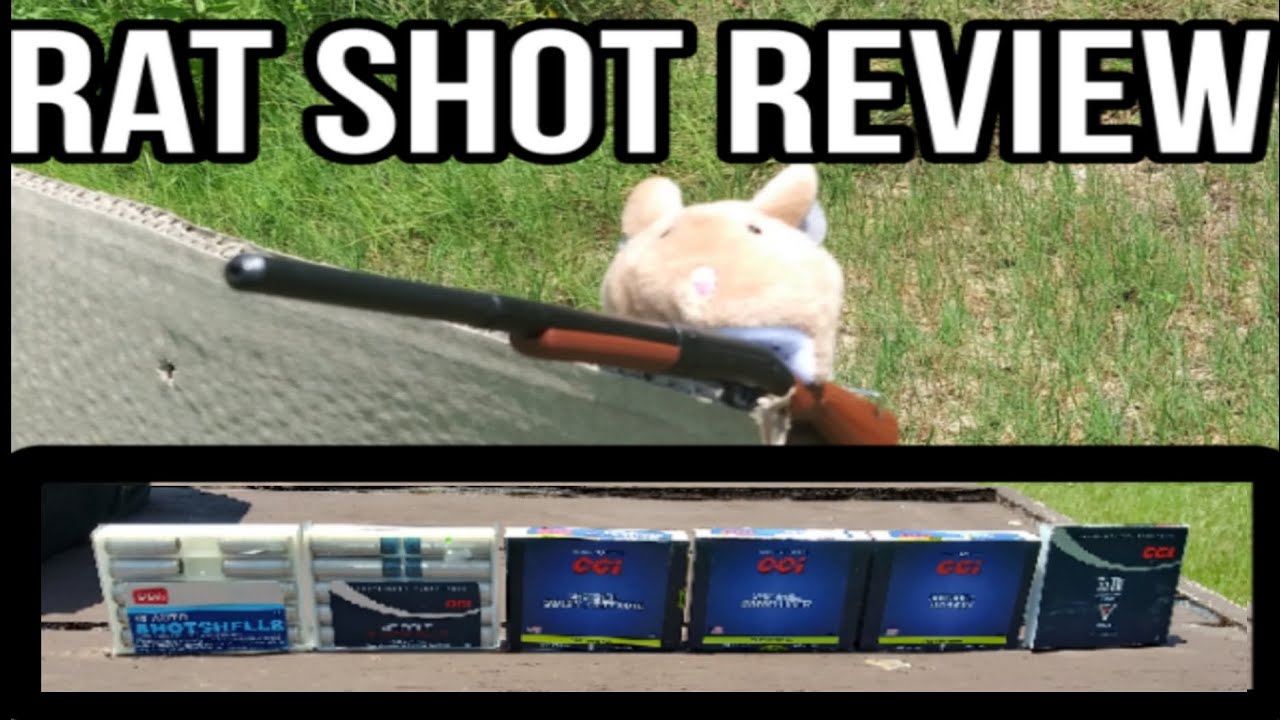 CCI Pest Control Rat Shot Test. Multiple Calibers  #ratshot #shotshell #pestcontrol #cci #snakeshot