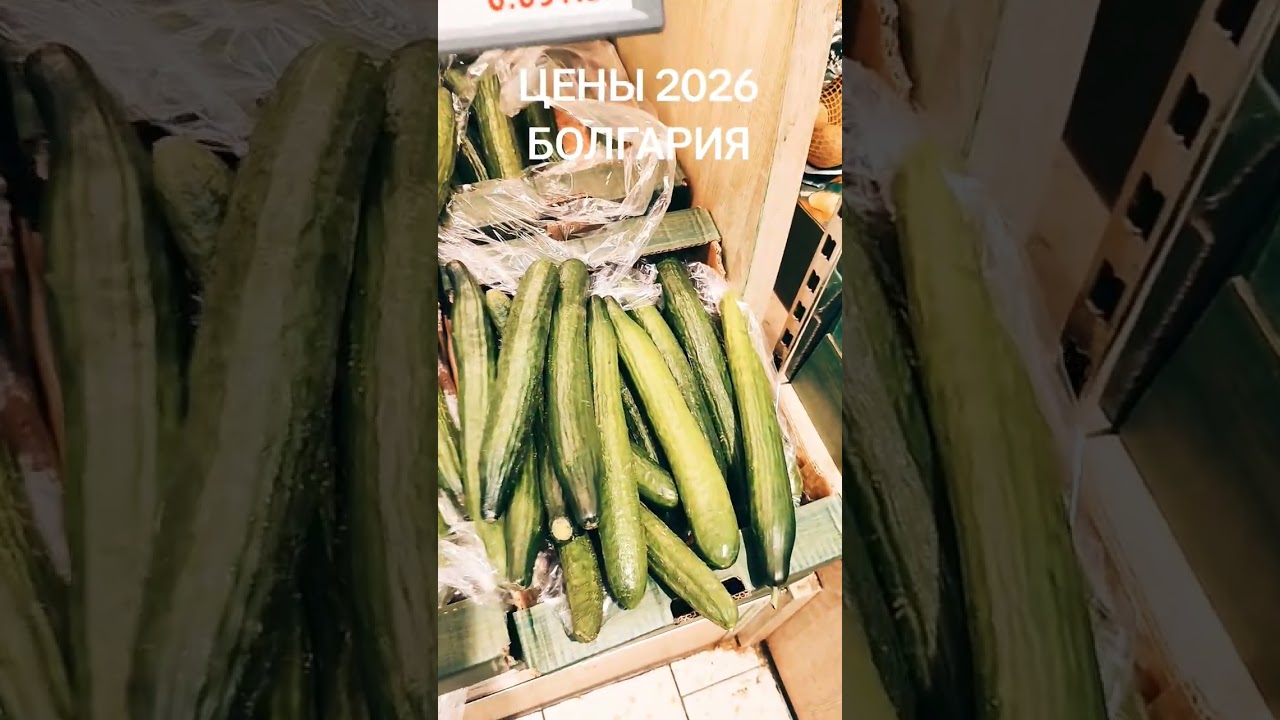 Цены на овощи #болгария