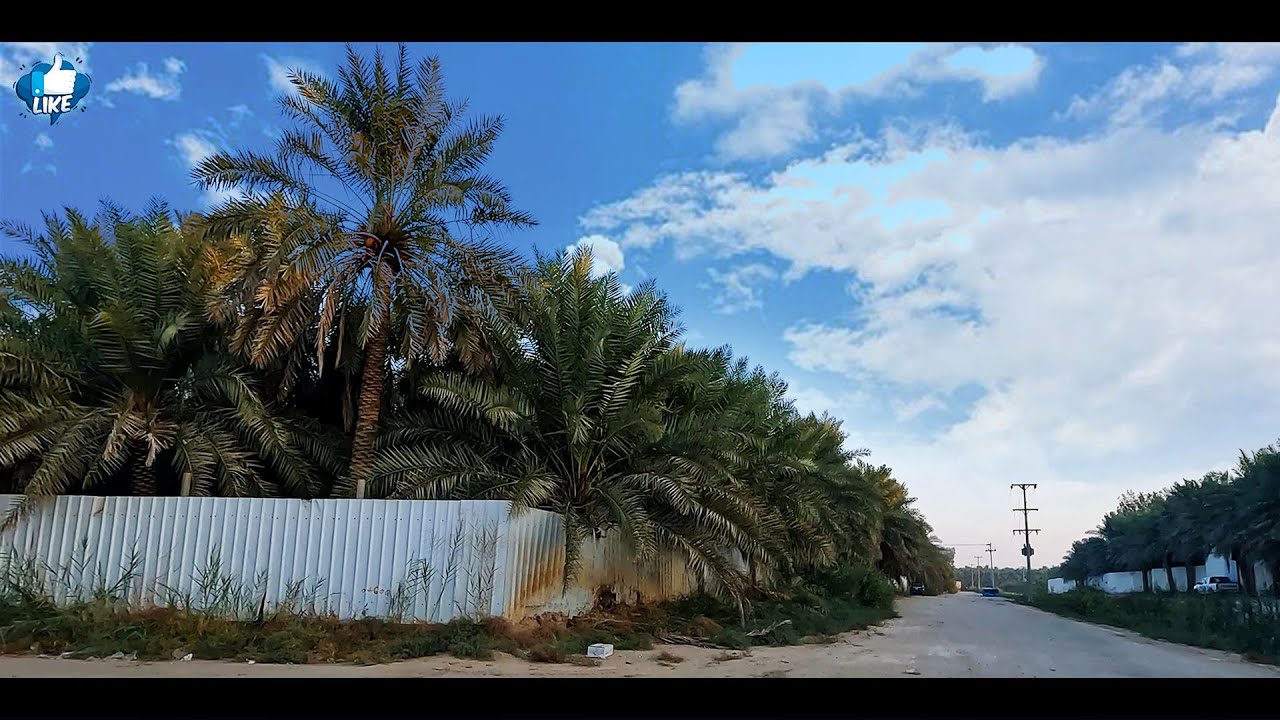 جولة في الاحساء شوارع النخيل القرين و الراشدية الاول
