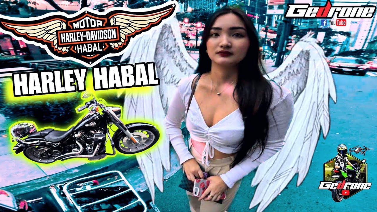 HARLEY davidson HABAL HABAL