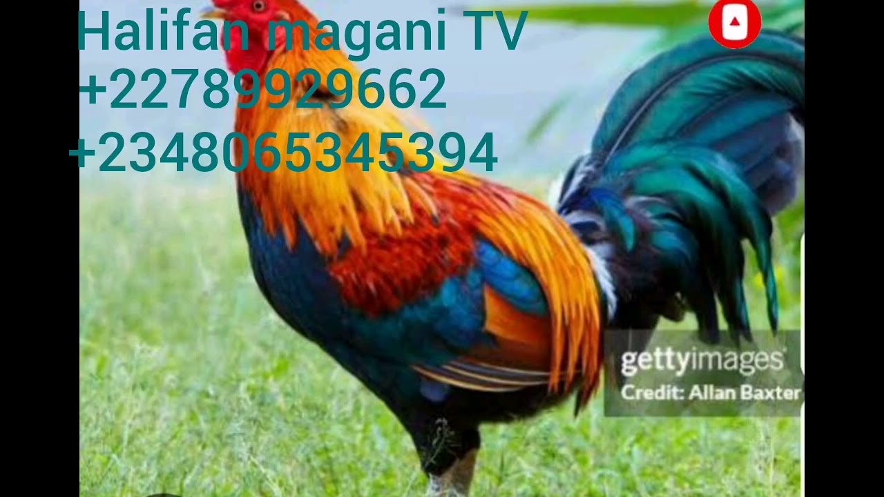 Ina mamakin irin wanan sirrin mai abin mamaki