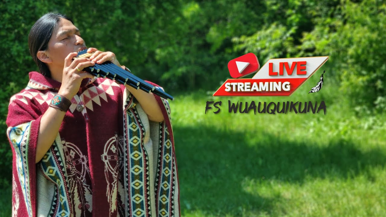 Live Performance ##relaxing #music #subscribe #fabiansalazarwuauquikuna