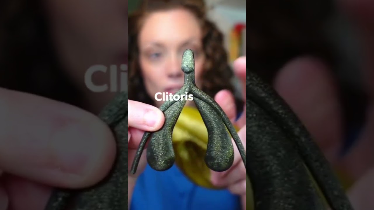 Did you know the clitoris looks like this?! #obgyn #shorts