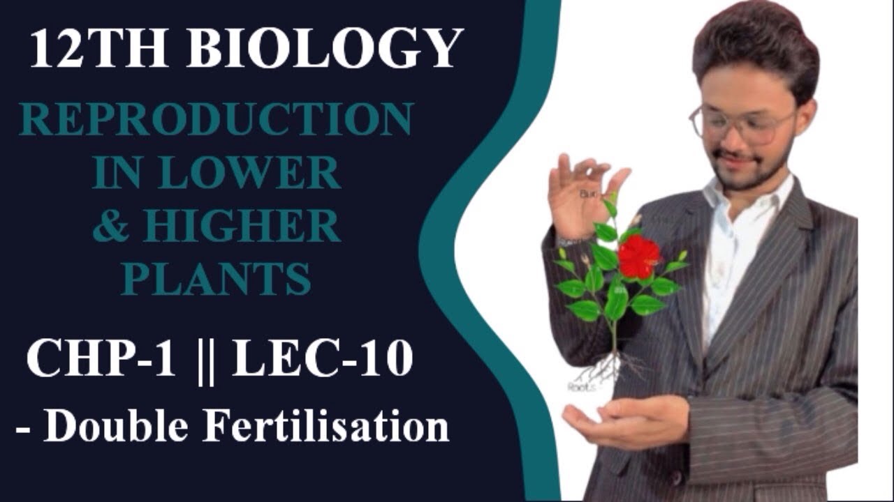 12TH BIOLOGY || REPRODUCTION IN LOWER & HIGHER PLANTS || CHP -1 || LEC-10 || MAHARASHTRA BOARD 