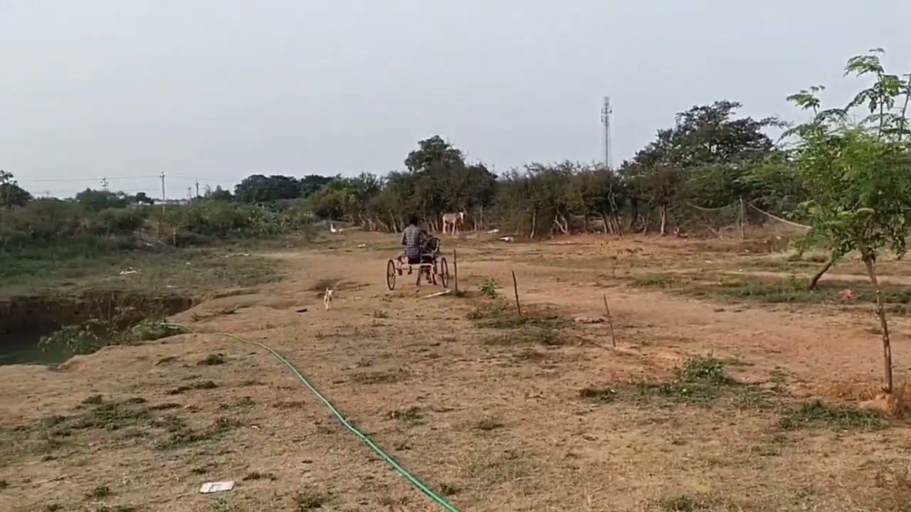புதிய நாட்டு குதிரை வண்டி பூட்டி ஓட்டம் 9994472457