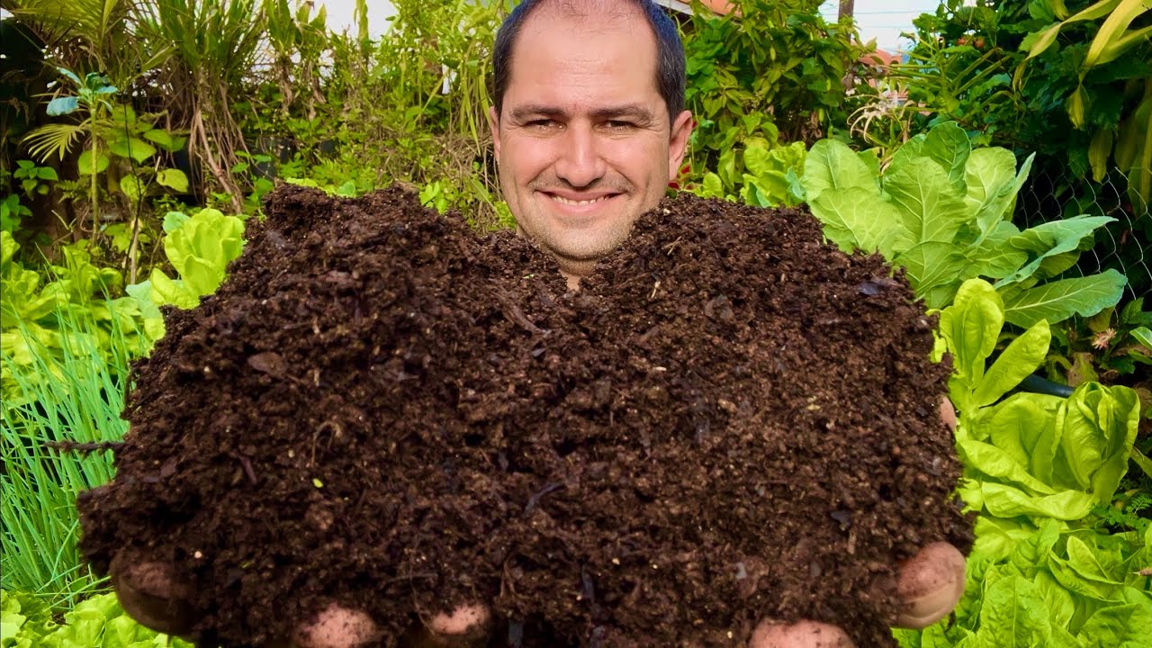 SUPER ADUBO COM CUSTO ZERO
