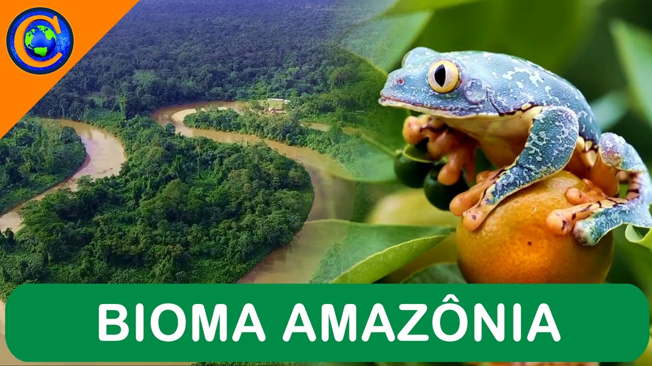 BIOMA AMAZÔNIA