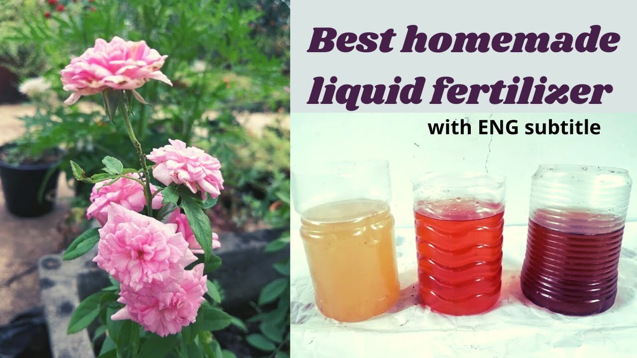 How to make best homemade liquid fertilizers in tamil | Organic NPK fertilizer | terrace garden