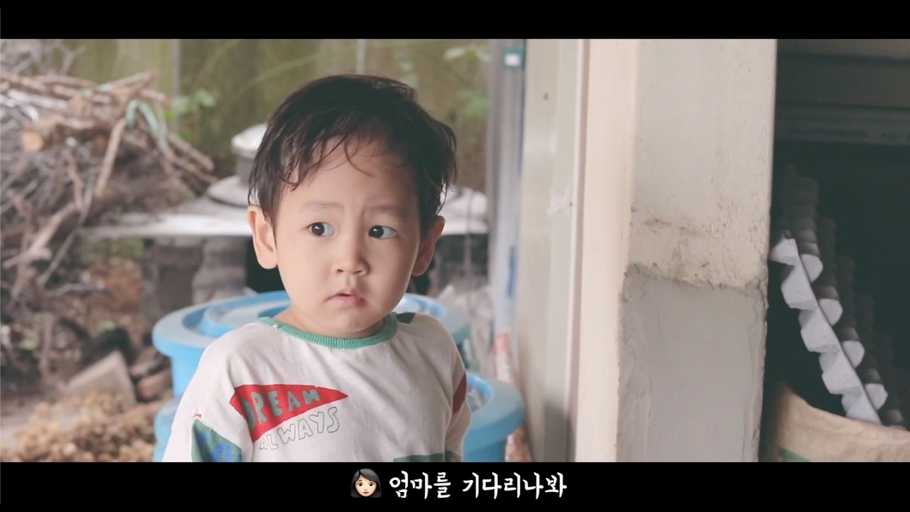 시원한 비가 지나간 한 여름 시골 브이로그