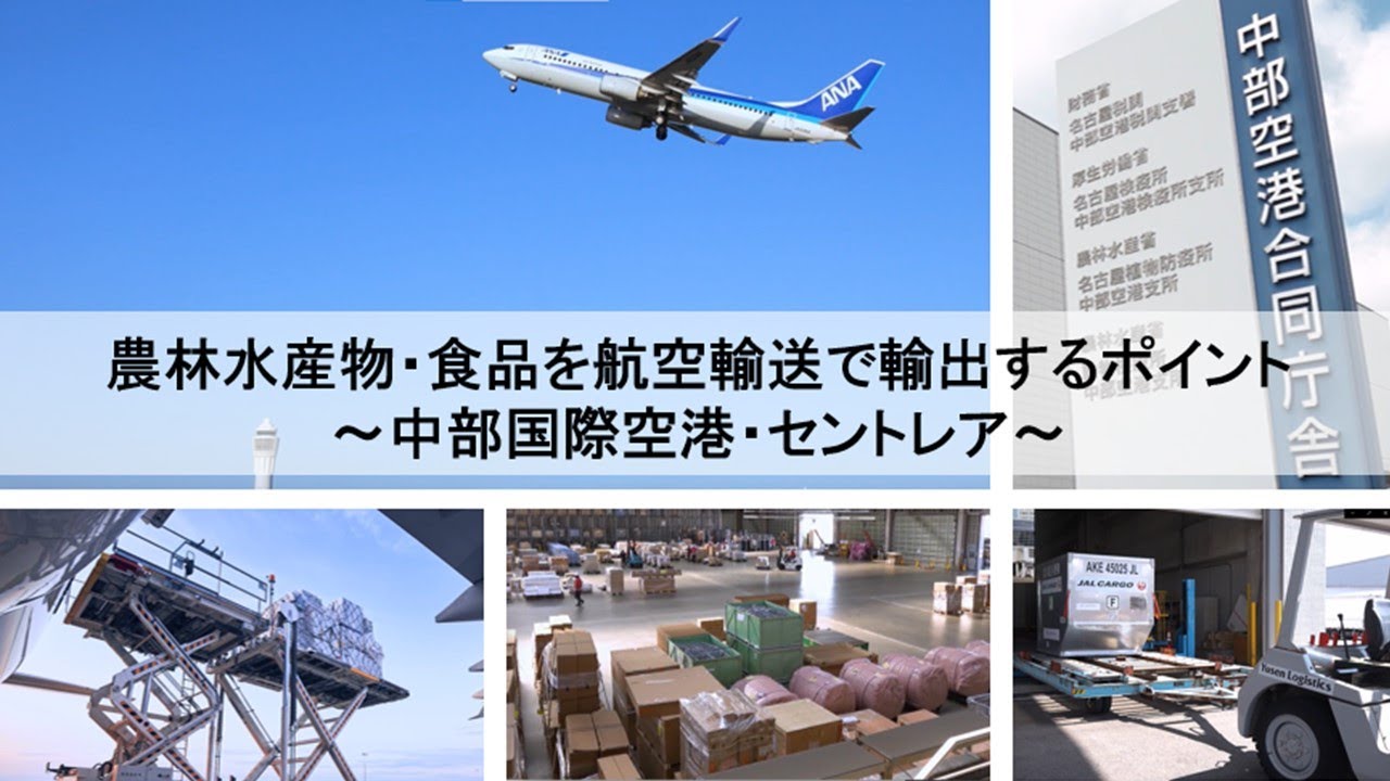 【東海農政局「輸出のたまて箱」】農林水産物・食品を航空輸送で輸出するポイント ～中部国際空港・セントレア～