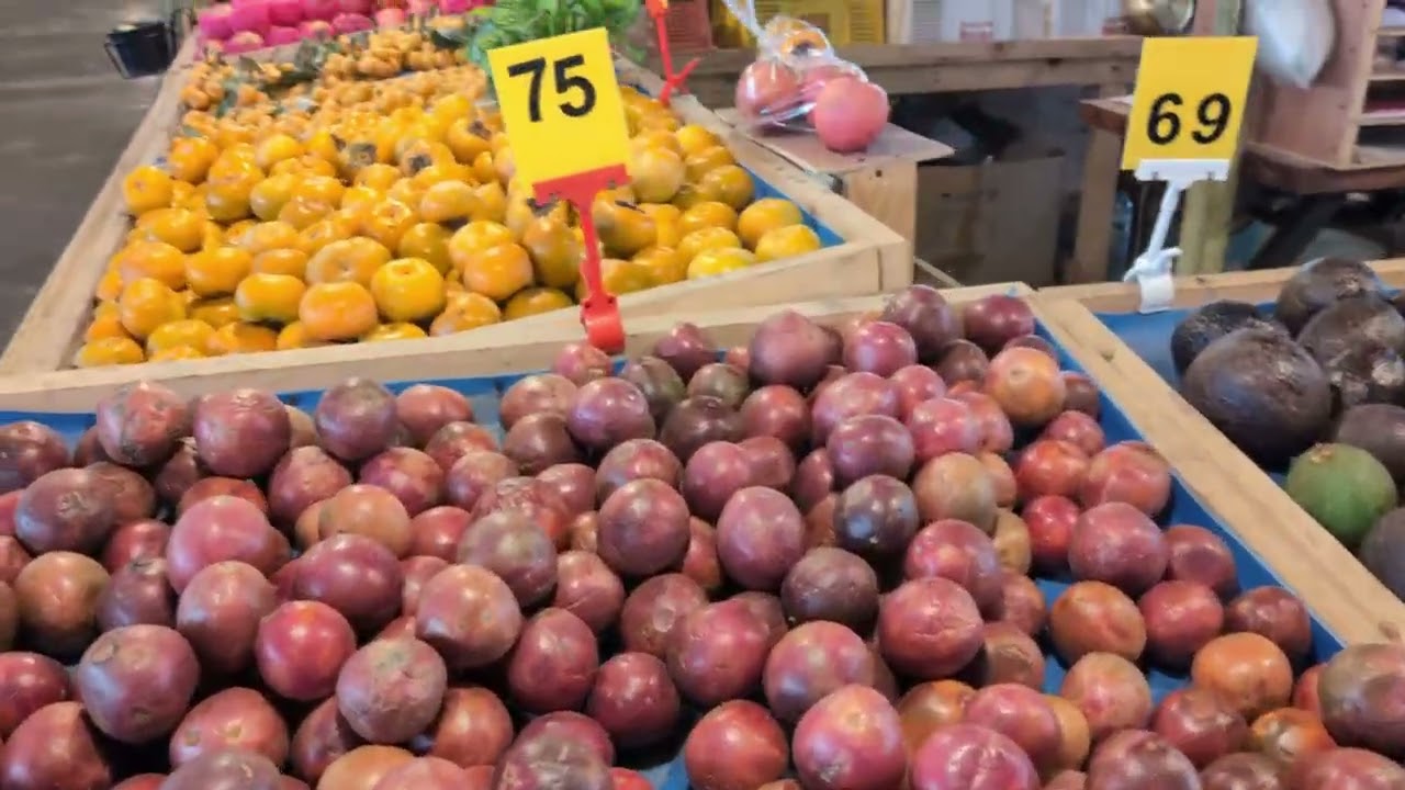 パタヤのローカルフルーツが美味しすぎる！｜Pattaya Street Fruit Market｜ผลไม้พัทยา สด อร่อยมาก!