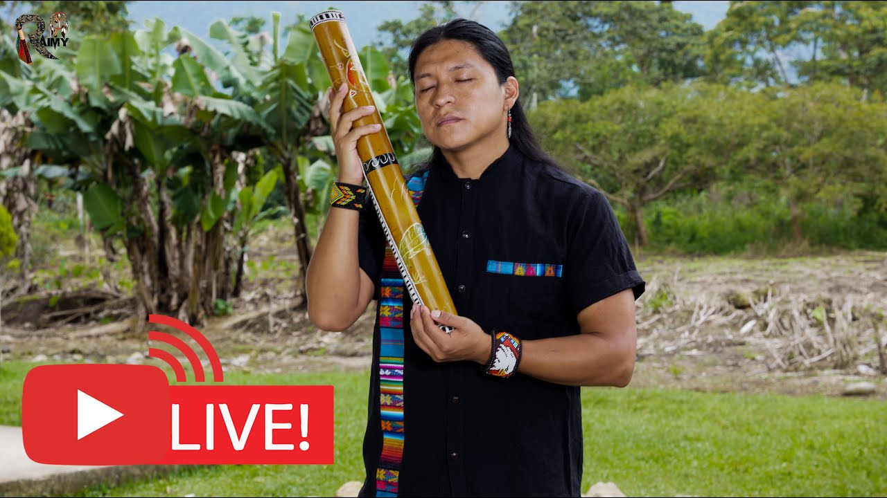 Live Instrumental Musio for Relax from Amazon Nature