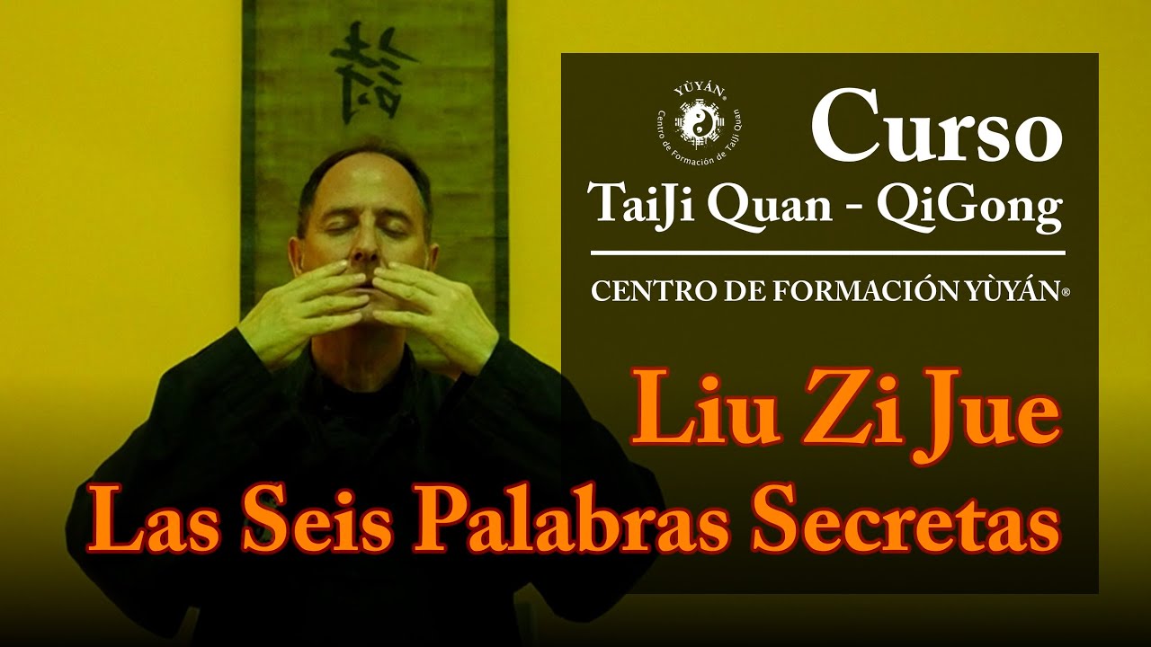 Liù Zì Jué 六字诀 - Las Seis Palabras Secretas | Centro de Formación Yùyán® - cod.030501