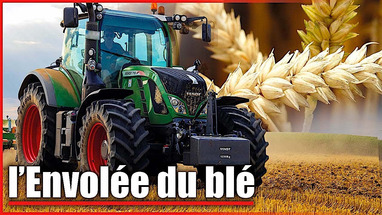 Ils font de l&rsquo;argent avec du bl&eacute;