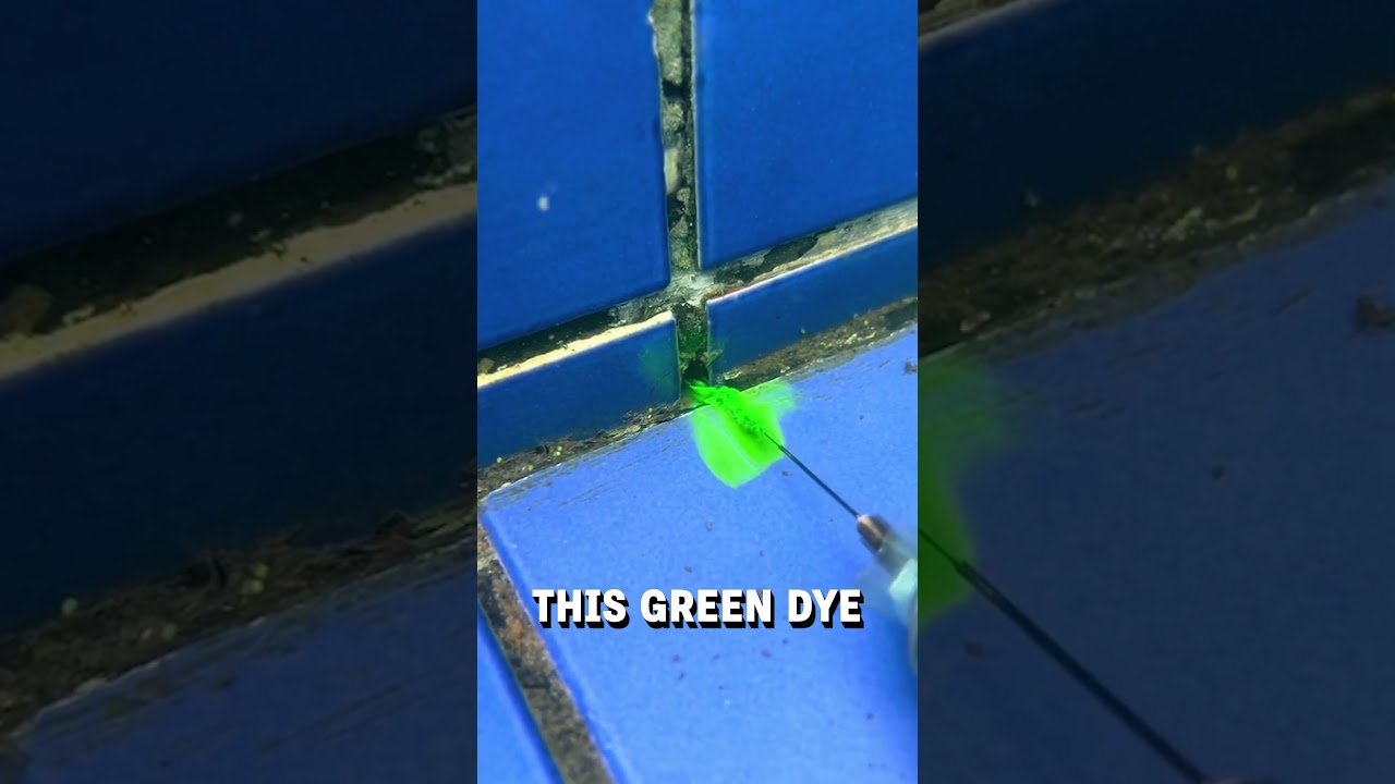 How we locate leaks in swimming pools! 😮🤩  -  🎥 encanadordesucesso