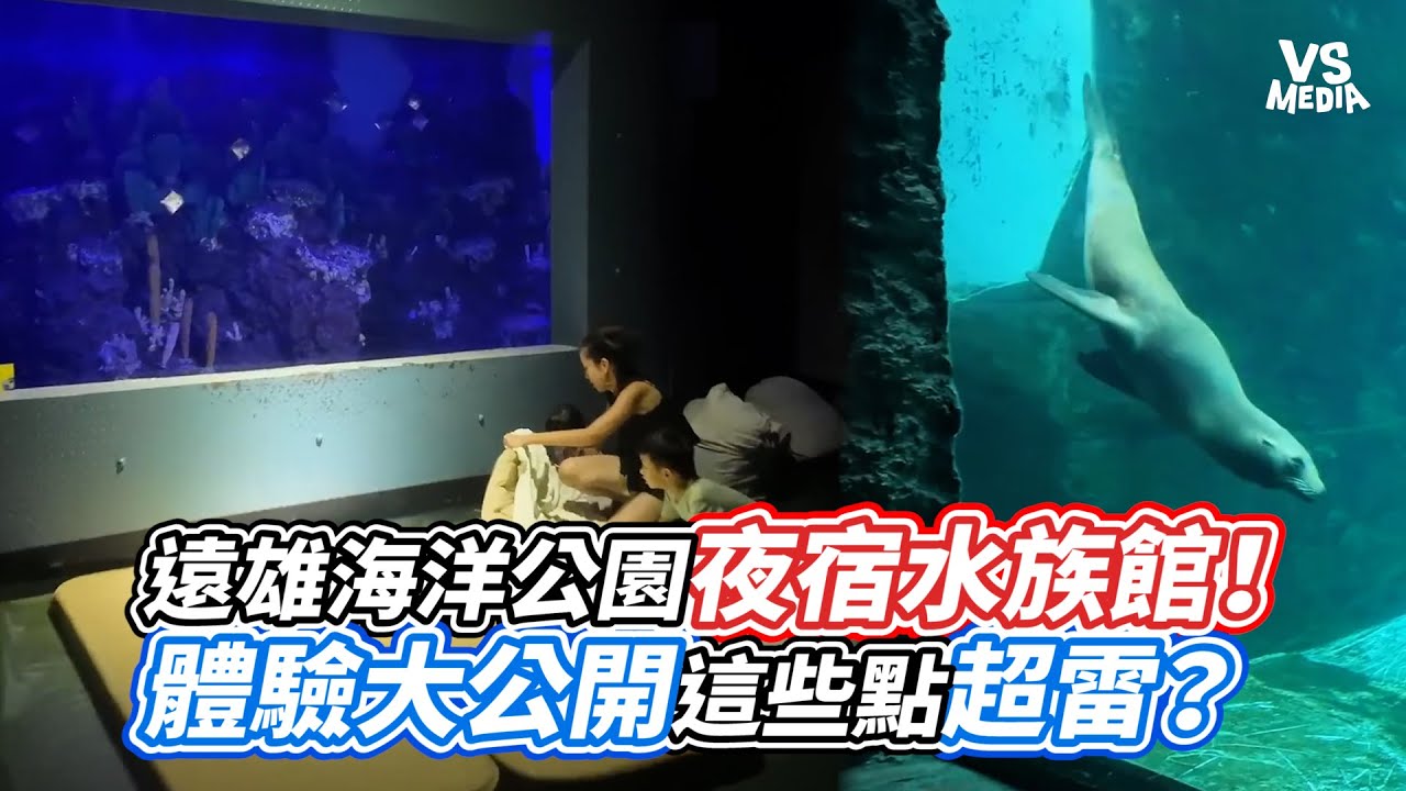 遠雄海洋公園夜宿水族館！體驗大公開這些點超雷？｜VS MEDIAｘ@whattoeat29