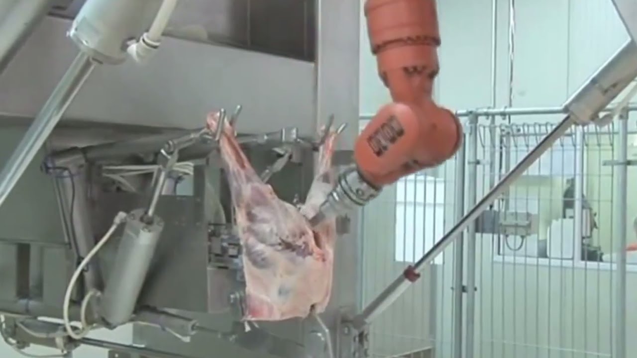 INCREÍBLES MAQUINAS  CORTADORAS DE CARNE